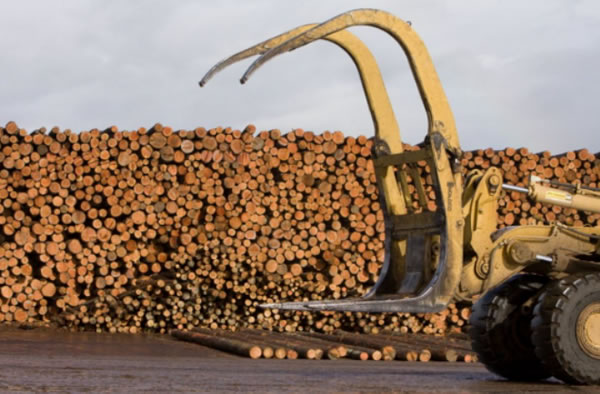 中国整木网 中国整木网