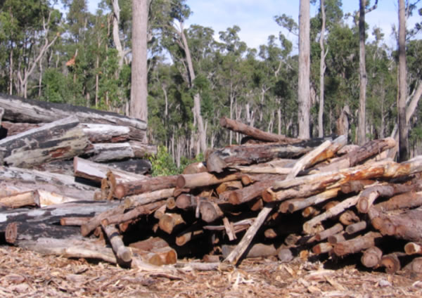 中国整木网 中国整木网