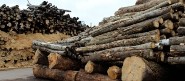 中国整木网 中国整木网