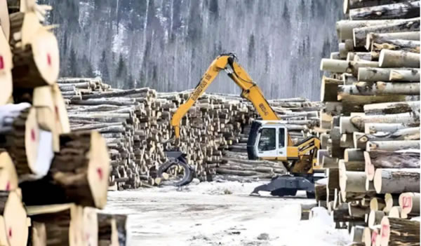 中国整木网 中国整木网