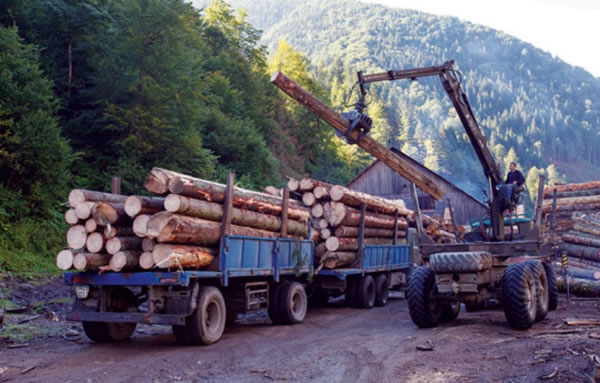 中国整木网 中国整木网