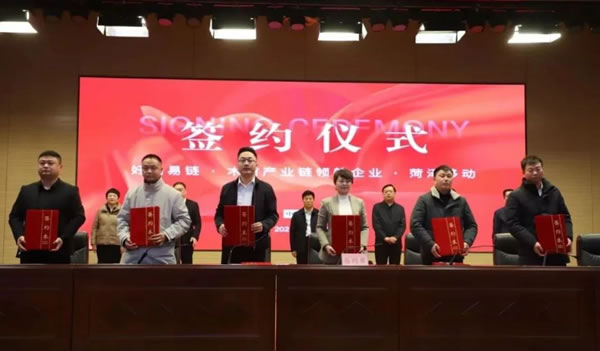 中国整木网 中国整木网