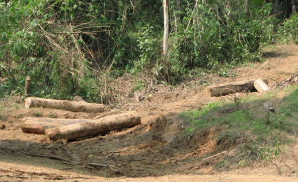 中国整木网 中国整木网