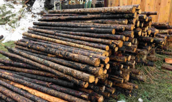 中国整木网 中国整木网