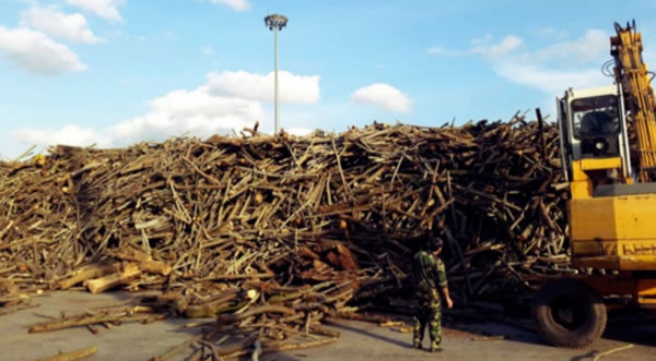 中国整木网 中国整木网