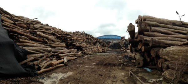 中国整木网 中国整木网