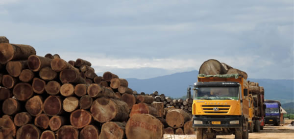 中国整木网 中国整木网