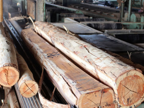 中国整木网 中国整木网