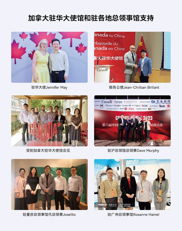 中国整木网 中国整木网