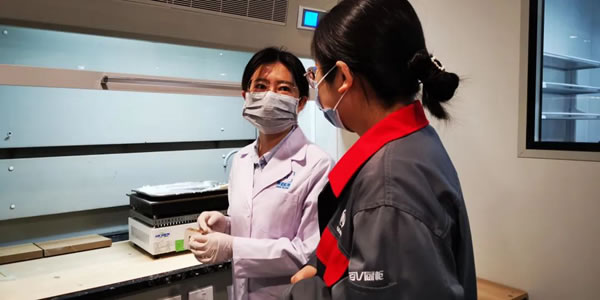 中国整木网 中国整木网