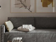 兔宝宝成立上海公司,打造高端市场新名片