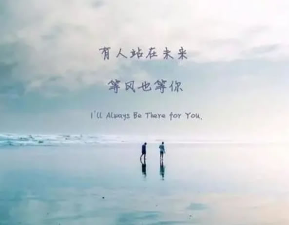 中国整木网 中国整木网