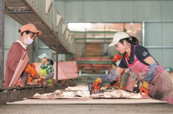 中国整木网 中国整木网