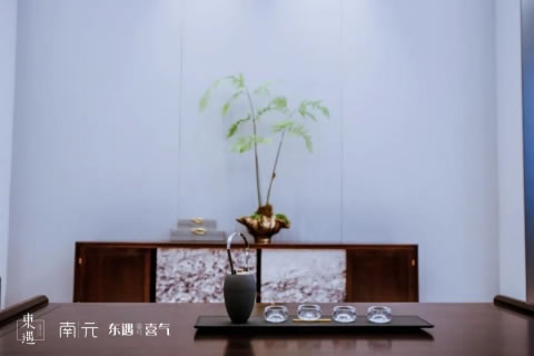 中国整木网 中国整木网