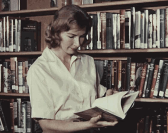 中国整木网 中国整木网