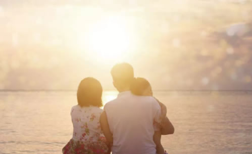 中国整木网 中国整木网