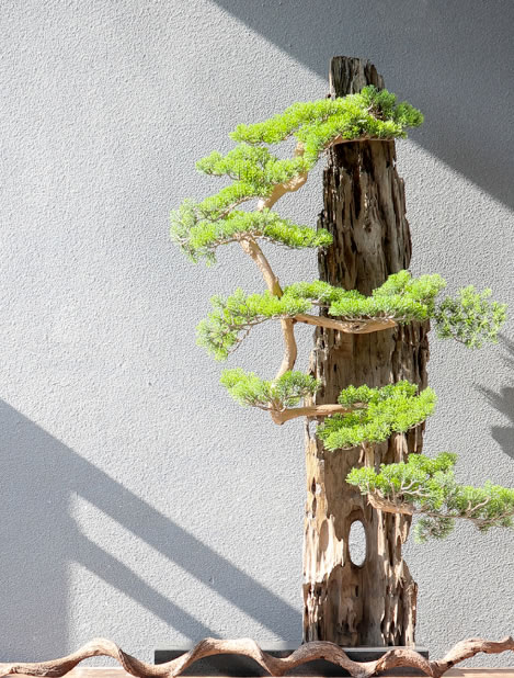 中国整木网 中国整木网