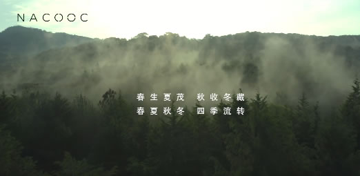 中国整木网 中国整木网