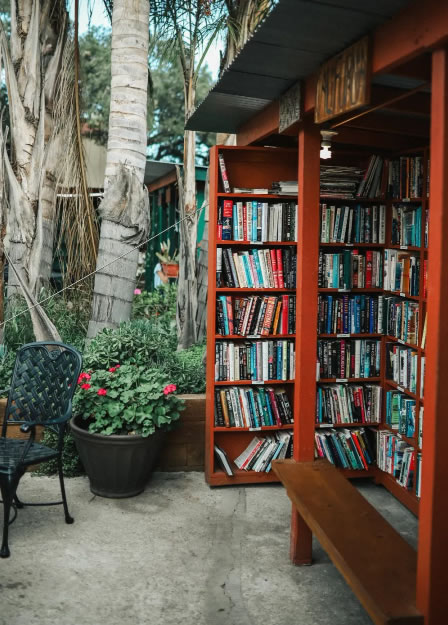 中国整木网 中国整木网