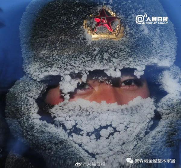 中国整木网 中国整木网