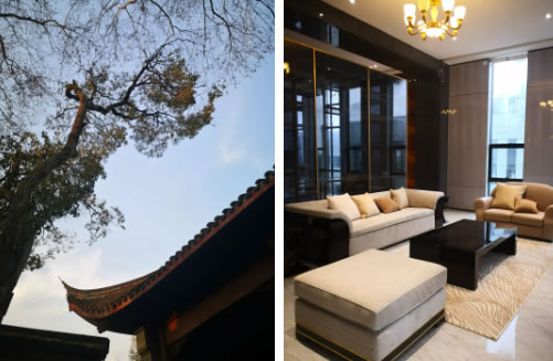 中国整木网 中国整木网