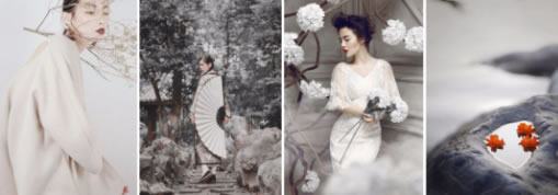 中国整木网 中国整木网