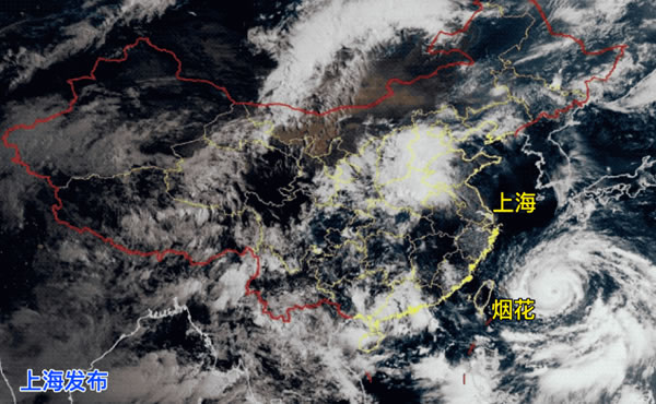 中国整木网 中国整木网